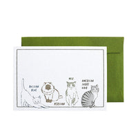 Green Flash Mini Card Set BC-035