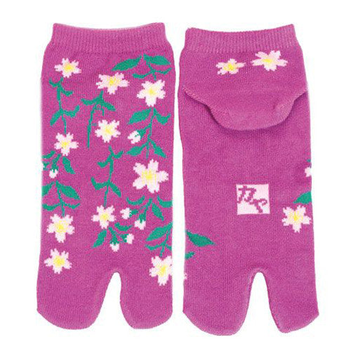 Tabi Socks Short type Weeping Cherry Tree kyoohoo