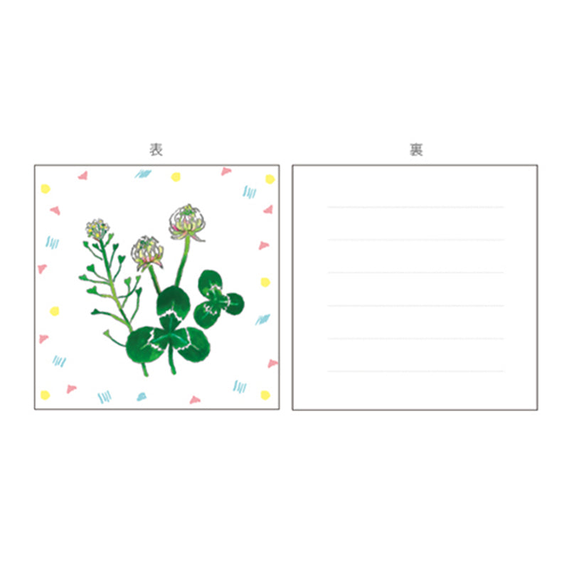 Green Flash Window square memo KW-001