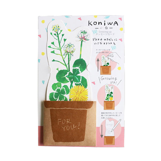 Green Flash Growing up Message Card KW-017