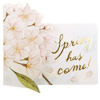 Greeting Life Cherry Blossom Pop up Card LY-29