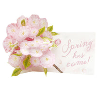 Greeting Life Cherry Blossom Pop up Card LY-30