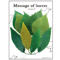 Greeting Life Message Gift Mini Card Set leaf MM-65
