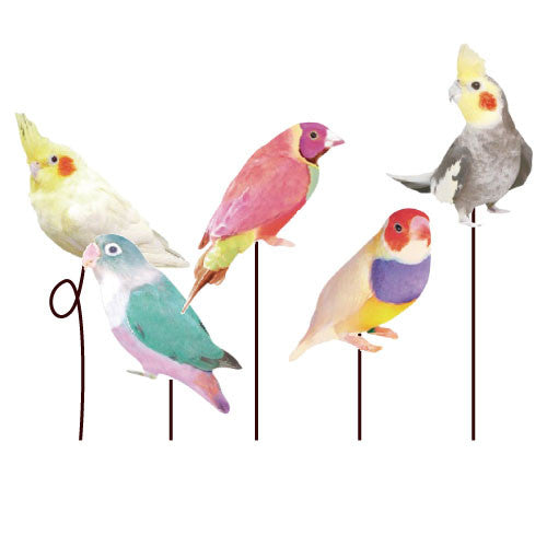 Greeting Life Message Gift Mini Card Set Bird MM-66