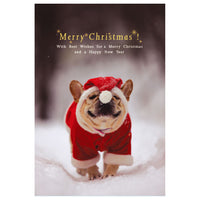 Greeting Life Natsuhiko Christmas Post Card NA-33