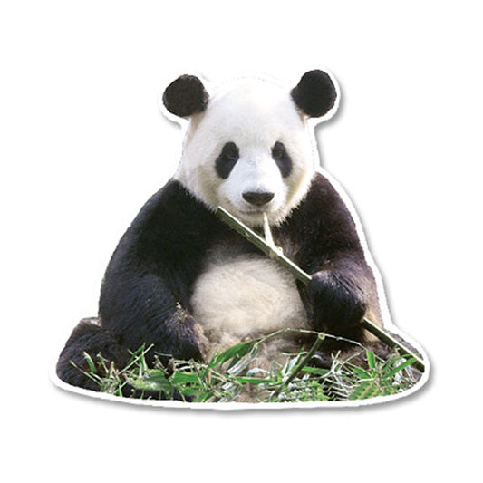 Greeting Life Panda Postcard PCF-64