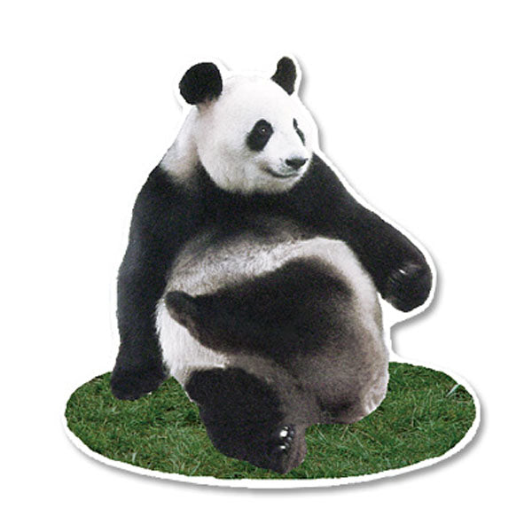 Greeting Life Panda Postcard PCF-65