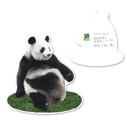 Greeting Life Panda Postcard PCF-65