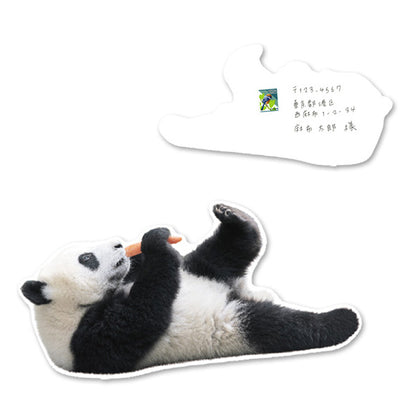 Greeting Life Panda Postcard PCF-68