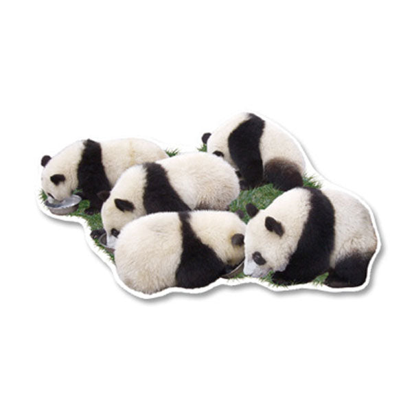 Greeting Life Panda Postcard PCF-73