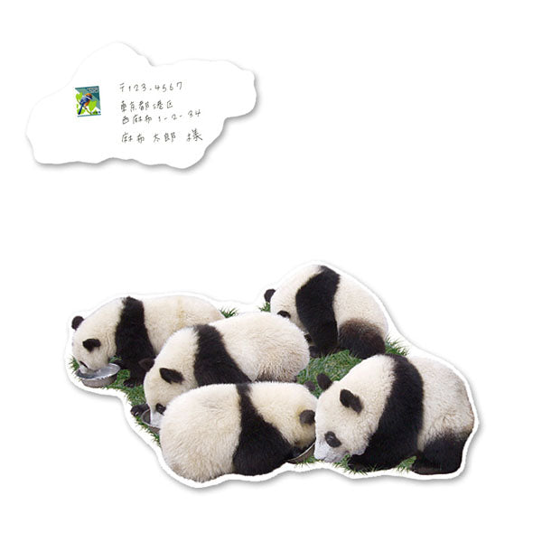 Greeting Life Panda Postcard PCF-73