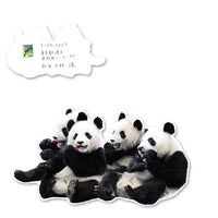 Greeting Life Panda Postcard PCF-75