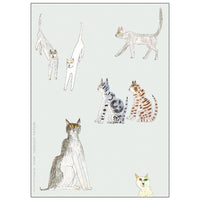 Greeting Life Notebook A5 WAN-47